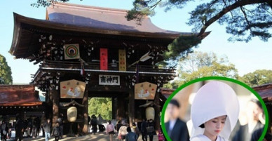 Meiji Jingu - ngôi đền đặc biệt giữa lòng Tokyo