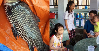 Ngư dân Sài Gòn 2 lần bắt cá “khủng” bán hàng trăm triệu giờ ra sao?