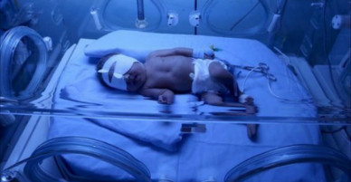 Sự thật về ‘nụ hôn tử thần’: Bài học đau đớn đã nhiều, bất kỳ cha mẹ nào cũng tuyệt đối không được chủ quan