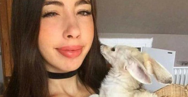 Cuồng ăn chay, nữ blogger ép cả chú cáo mình nuôi không được ăn thịt và bị cộng đồng mạng chỉ trích dữ dội