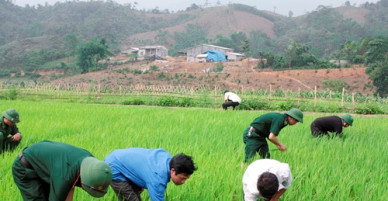 Nhân lên những hạt giống mùa Xuân