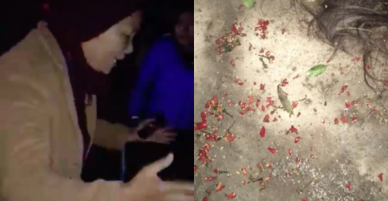 Tức giận vì con trai có bồ nhí, mẹ chồng ra tay cắt tóc rồi xát ớt vào vùng của kín nhân tình giúp con dâu
