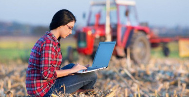 Không phải làm gì to tát, xu hướng của lớp trẻ thế giới hiện nay là học đại học sau đó về quê làm... nông dân!