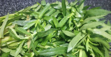 Ít ai biết loại rau phổ biến khắp Việt Nam có tác dụng chữa bệnh như tiên dược