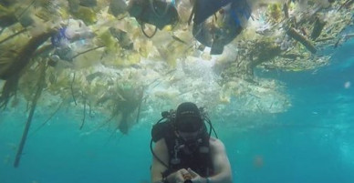 Phút thắt lòng của khách Tây khi thấy Bali ngập trong biển rác