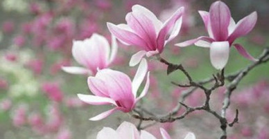 Thứ Hai của bạn (19/3): Song Tử cẩn thận mâu thuẫn với mọi người