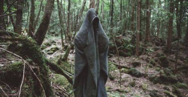 Rừng Aokigahara - Nơi đi dễ khó về ở Nhật Bản