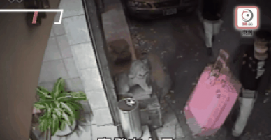 Vụ án nam thanh niên Hong Kong giết bạn gái, phi tang xác trong vali: Nhiều tình tiết gây phẫn nộ được hé mở