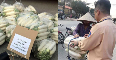 Hà Nội: CSGT “giải cứu” củ cải cho bà con nông dân