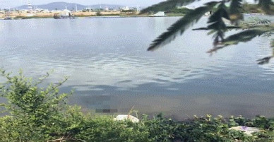 Đà Nẵng: Phát hiện thi thể nam thanh niên bên bờ sông
