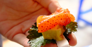 Sứa đỏ - món ngon chỉ có dịp giao mùa ở Hà Nội
