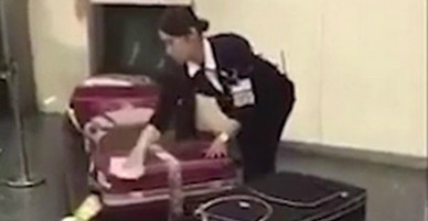 Nhân viên sân bay Nhật Bản lau vali cho hành khách trên băng chuyền