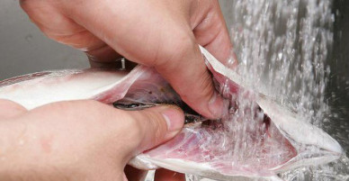 Rửa mấy lần xà phòng mà tay vẫn tanh rình mùi cá thì chỉ cần lấy tuýp kem này ra dùng thôi
