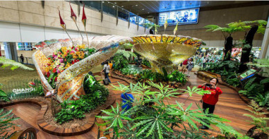 Lý do Changi 6 lần là sân bay tốt nhất thế giới