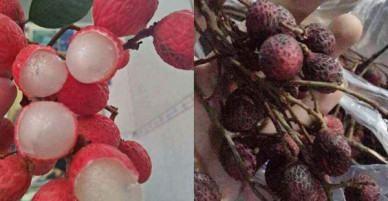 Chọn shop đắt để mua hàng online vì nghĩ tiền nào của nấy, anh chàng nhận hàng với thất vọng nhân đôi