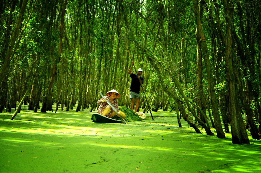 An Giang, Châu Đốc, Long Xuyên, tin8, huyền bí, núi Sam, chùa bà, bánh bò, thốt nốt, du lịch, núi Cô Tô, Trà Sư, rừng tràm, chợ nổi, Búng Bình Thiên, đồi Tức Dụp, Tung Lò Mò,