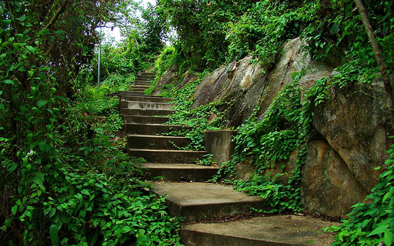 An Giang, Châu Đốc, Long Xuyên, tin8, huyền bí, núi Sam, chùa bà, bánh bò, thốt nốt, du lịch, núi Cô Tô, Trà Sư, rừng tràm, chợ nổi, Búng Bình Thiên, đồi Tức Dụp, Tung Lò Mò,