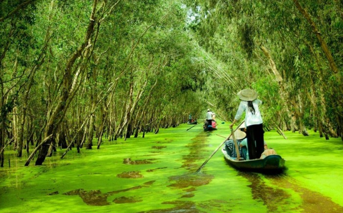 An Giang, Châu Đốc, Long Xuyên, tin8, huyền bí, núi Sam, chùa bà, bánh bò, thốt nốt, du lịch, núi Cô Tô, Trà Sư, rừng tràm, chợ nổi, Búng Bình Thiên, đồi Tức Dụp, Tung Lò Mò,