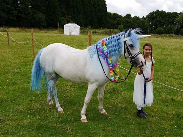 kì lân, ngựa, ngựa lùn, pony, trang điểm, tin8, Anh quốc, trẻ em