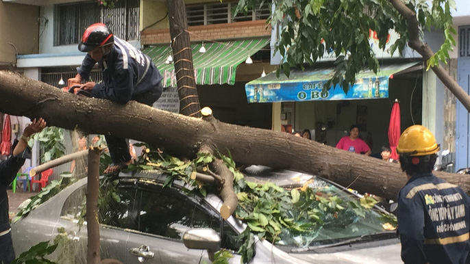 mưa, giông, lốc xoáy, cây đổ, xe máy, con người, giao thông, TP.HCM, tin8