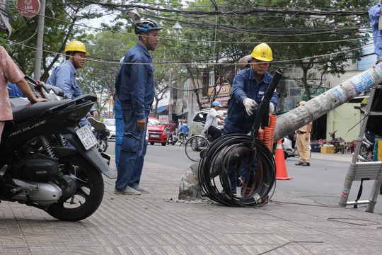 mưa, giông, lốc xoáy, cây đổ, xe máy, con người, giao thông, TP.HCM, tin8