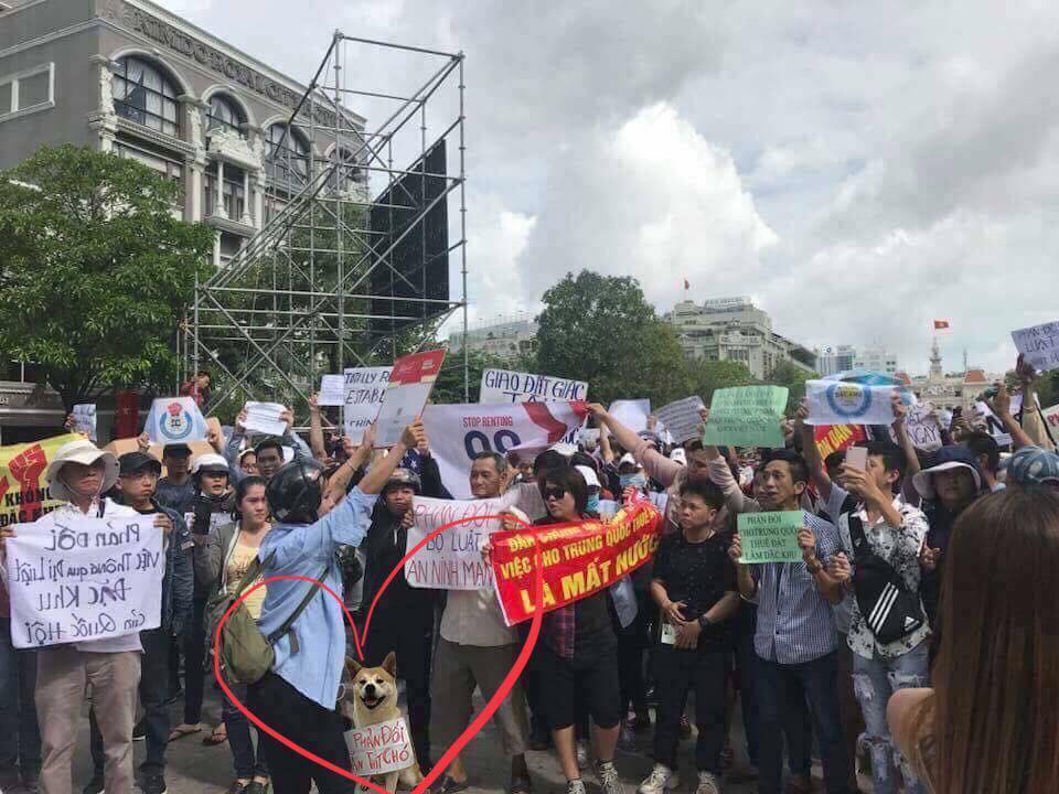 tin8, biểu tình, 99 năm, đặc khu, trung quốc