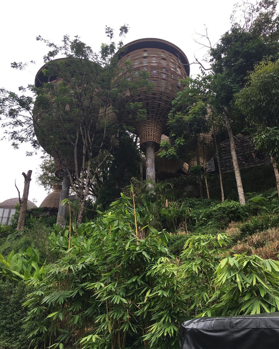 tổ chim, du lịch, Phuket, tin8, Thái Lan, thiết kế, nghĩ dưỡng, spa, đẹp mắt