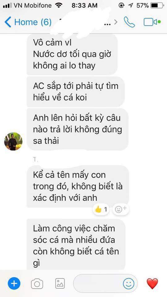 tin8, cá chết, cà phê cá bơi dưới chân