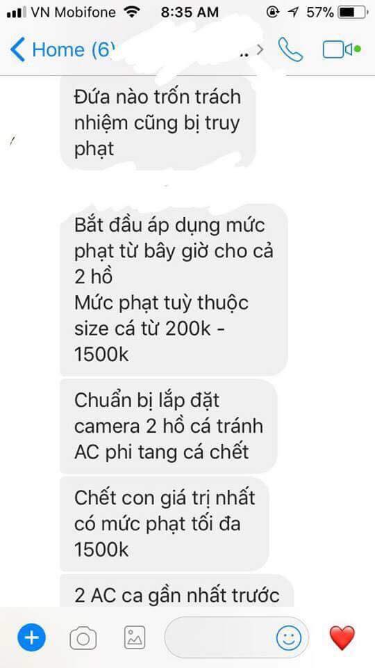 tin8, cá chết, cà phê cá bơi dưới chân