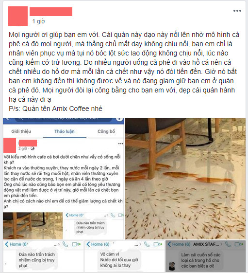 tin8, cá chết, cà phê cá bơi dưới chân