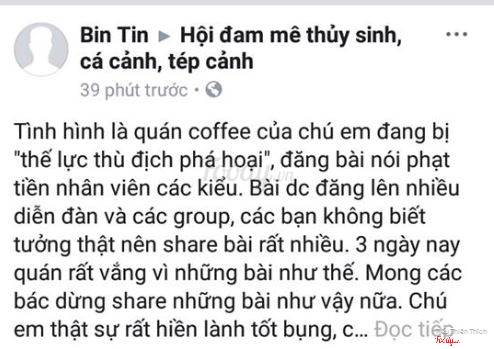 tin8, cá chết, cà phê cá bơi