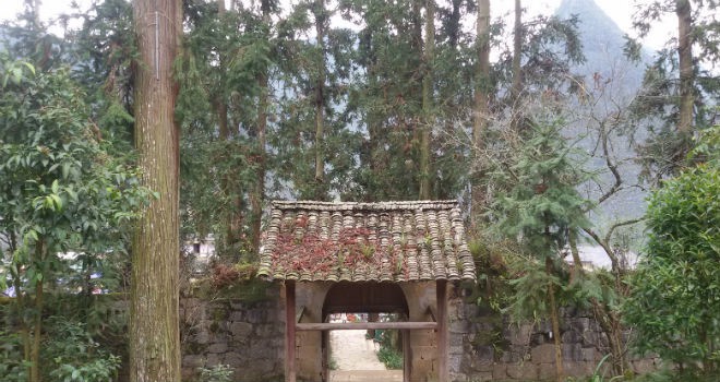 Vua Mèo, dinh thự, tin8, hình ảnh
