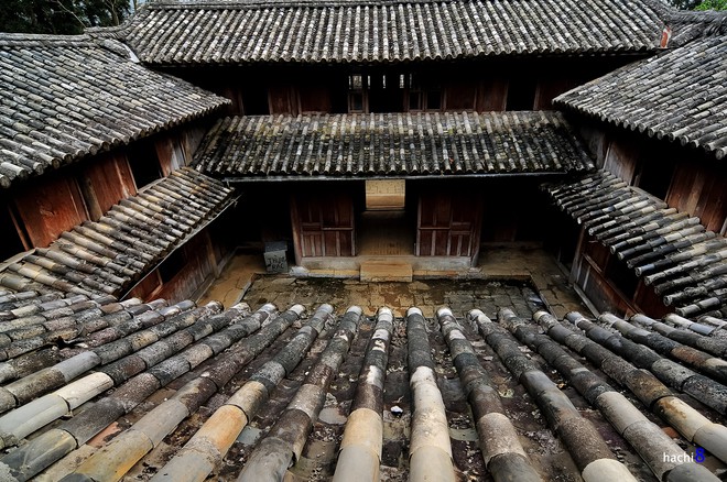 Vua Mèo, dinh thự, tin8, hình ảnh