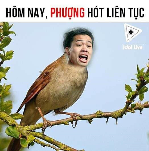 AFF Cup 2018, hài hước, ảnh chế, tin8, Đặng Văn Lâm, sút phạt, Nguyễn Quang Hải