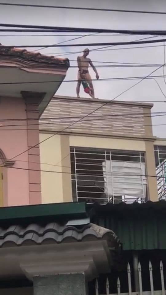 ngáo đá, em bé, tin8