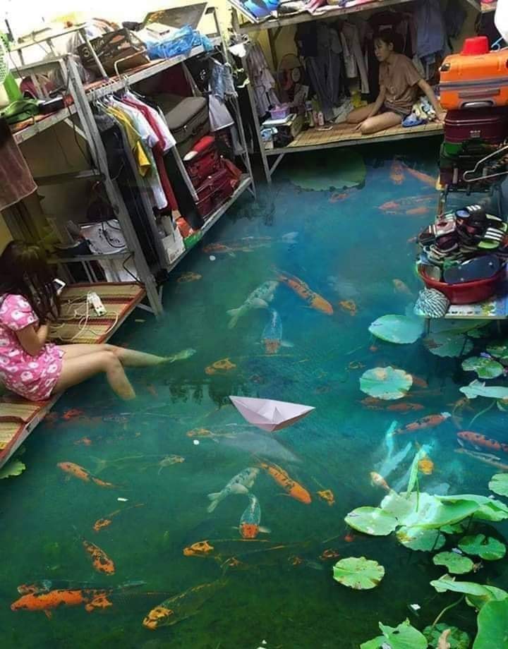 bão số 9, lũ lụt, ngập nước, chế ảnh, cư dân mạng, cười, hài hước, tin8