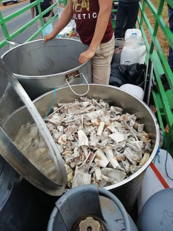 săn động vật, người Việt bị bắt, tội phạm người Việt, Nam Phi, người Việt bị bắt tại Nam Phi, tin8